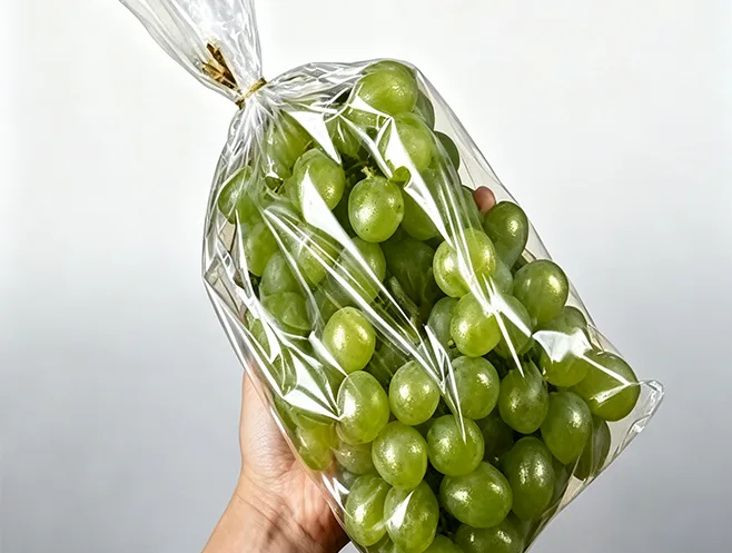 La pellicola antiappannamento bopp migliora l'imballaggio degli alimenti freschi e risolve le principali sfide di conservazione di frutta e verdura.